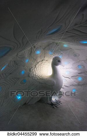Peacock made of ice, Icehotel, Jukkasjärvi, Lapland, Norrbotten County, Sweden, Europe View Large Photo Image Stock Photo - Peacock made of ice, Icehotel, Jukkasjärvi, Lapland, Norrbotten County, Sweden, Europe. Fotosearch