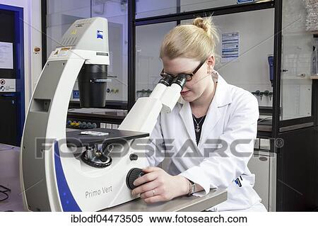 Pharmacist at the microscope, Heinrich-Heine University in Düsseldorf, North Rhine-Westphalia, Germany, Europe View Large Photo Image Stock Photography - Pharmacist at the microscope, Heinrich-Heine University in Düsseldorf, North Rhine-Westphalia, Germany, Europe. Fotosearch