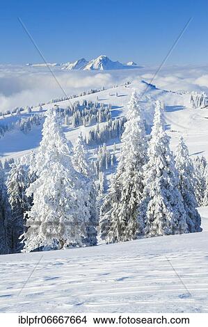 Picture - Pilatus, view Rigi Kulm, Switzerland, Europe. Fotosearch