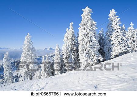 Pilatus, view Rigi Kulm, Switzerland, Europe View Large Photo Image Stock Image - Pilatus, view Rigi Kulm, Switzerland, Europe. Fotosearch