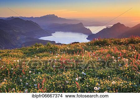 Pilatus with Lake Lucerne, Switzerland, Europe View Large Photo Image Picture - Pilatus with Lake Lucerne, Switzerland, Europe. Fotosearch