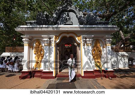 Prayer hall, Jaya Sri Maha Bodhi behind, sacred fig tree, Sacred City of Anuradhapura, North Central Province, Sri Lanka, Asia View Large Photo Image Stock Image - Prayer hall, Jaya Sri Maha Bodhi behind, sacred fig tree, Sacred City of Anuradhapura, North Central Province, Sri Lanka, Asia. Fotosearch