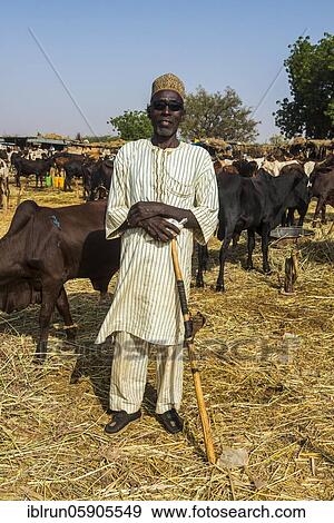 Proud cattle farmer on the animal market, Niamey, Niger, Africa View Large Photo Image Stock Photo - Proud cattle farmer on the animal market, Niamey, Niger, Africa. Fotosearch