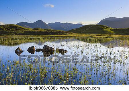 Rannoch Moor, Scotland, Great Britain View Large Photo Image Stock Photography - Rannoch Moor, Scotland, Great Britain. Fotosearch