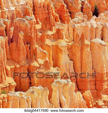 Red eroded limestone columns, Bryce Canyon National Park, Sunrise Point, Utah, United States, North America View Large Photo Image Stock Image - Red eroded limestone columns, Bryce Canyon National Park, Sunrise Point, Utah, United States, North America. Fotosearch