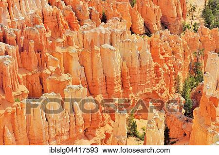 Red eroded limestone columns, Bryce Canyon National Park, Sunrise Point, Utah, United States, North America View Large Photo Image Stock Image - Red eroded limestone columns, Bryce Canyon National Park, Sunrise Point, Utah, United States, North America. Fotosearch