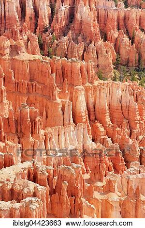 Stock Image - Red eroded limestone columns, Bryce Canyon National Park, Sunrise Point, Utah, United States, North America. Fotosearch
