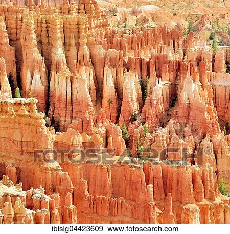 Stock Photo - Red eroded limestone columns, Bryce Canyon National Park, Sunrise Point, Utah, United States, North America. Fotosearch