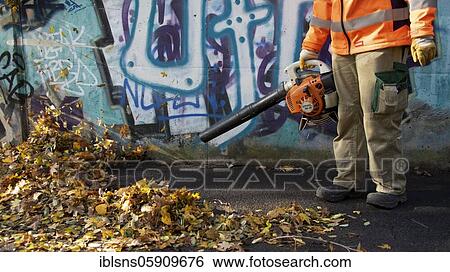 Removal of autumn leaves with a leaf blower, Magdeburg, Saxony-Anhalt, Germany, Europe View Large Photo Image Stock Photograph - Removal of autumn leaves with a leaf blower, Magdeburg, Saxony-Anhalt, Germany, Europe. Fotosearch