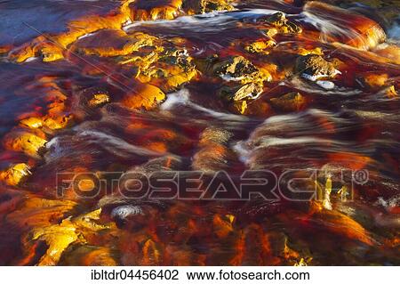 Rio Tinto, Red river, detail with oxidised iron minerals in water, Huelva province, Andalusia, Spain, Europe View Large Photo Image Stock Image - Rio Tinto, Red river, detail with oxidised iron minerals in water, Huelva province, Andalusia, Spain, Europe. Fotosearch