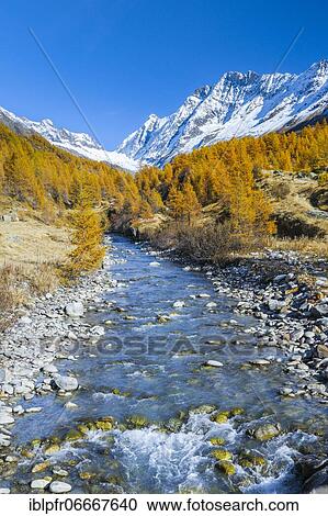 River Lonza with Aletschhorn and Schinhorn, Lötschenlücke, Valais, Switzerland, Europe View Large Photo Image Stock Image - River Lonza with Aletschhorn and Schinhorn, Lötschenlücke, Valais, Switzerland, Europe. Fotosearch