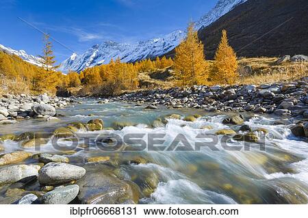 River Lonza with Aletschhorn and Schinhorn, Valais, Switzerland, Europe View Large Photo Image Stock Image - River Lonza with Aletschhorn and Schinhorn, Valais, Switzerland, Europe. Fotosearch