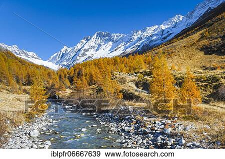 River Lonza with Aletschhorn and Schinhorn, Lötschenlücke, Valais, Switzerland, Europe View Large Photo Image Stock Photo - River Lonza with Aletschhorn and Schinhorn, Lötschenlücke, Valais, Switzerland, Europe. Fotosearch