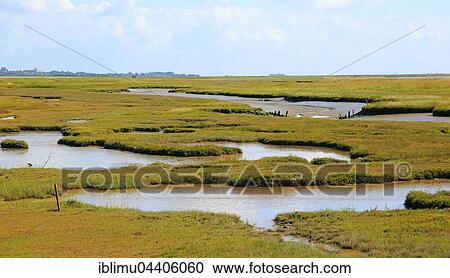 River Ore, River Alde, salt marsh and Orford Ness spit, Boyton, Suffolk, England, UK View Large Photo Image Stock Image - River Ore, River Alde, salt marsh and Orford Ness spit, Boyton, Suffolk, England, UK. Fotosearch