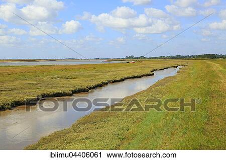 River Ore, River Alde salt marsh coastal flood defence bank, Hollesley, Suffolk, England, UK View Large Photo Image Stock Image - River Ore, River Alde salt marsh coastal flood defence bank, Hollesley, Suffolk, England, UK. Fotosearch