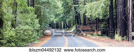 Road with road sign, Big Basin Redwoods State Park, California, USA, North America View Large Photo Image Stock Image - Road with road sign, Big Basin Redwoods State Park, California, USA, North America. Fotosearch