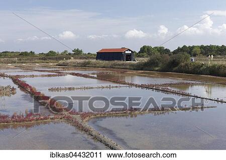 Salt marshes, Port des Salines, open air museum, Ile d'Oleron, Charente-Maritime, France, Europe View Large Photo Image Stock Image - Salt marshes, Port des Salines, open air museum, Ile d'Oleron, Charente-Maritime, France, Europe. Fotosearch