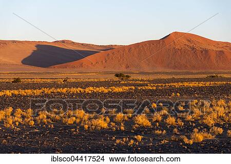 Picture - Sand dunes, Sossusvlei, Namib-Naukluft National Park, Namib Desert, Namibia, Africa. Fotosearch