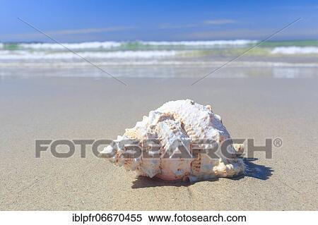 Stock Photography - Sandy beach beach on the coast, Scotland, Great Britain. Fotosearch