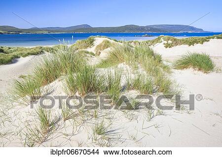 Sandy beach beach on the north coast, Scotland, Great Britain View Large Photo Image Picture - Sandy beach beach on the north coast, Scotland, Great Britain. Fotosearch