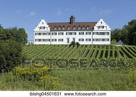 Schloss Hersberg with vineyard, Immenstaad, Lake Constance, Baden-Württemberg, Germany, Europe View Large Photo Image Stock Image - Schloss Hersberg with vineyard, Immenstaad, Lake Constance, Baden-Württemberg, Germany, Europe. Fotosearch