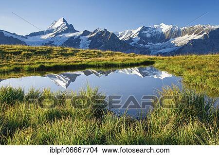 Schreckhorn, 4078 m, Bern, Switzerland, Europe View Large Photo Image Picture - Schreckhorn, 4078 m, Bern, Switzerland, Europe. Fotosearch