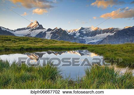 Schreckhorn, 4078 m, Bern, Switzerland, Europe View Large Photo Image Stock Image - Schreckhorn, 4078 m, Bern, Switzerland, Europe. Fotosearch