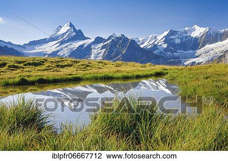 Schreckhorn, 4078 m, Bern, Switzerland, Europe View Large Photo Image Stock Image - Schreckhorn, 4078 m, Bern, Switzerland, Europe. Fotosearch