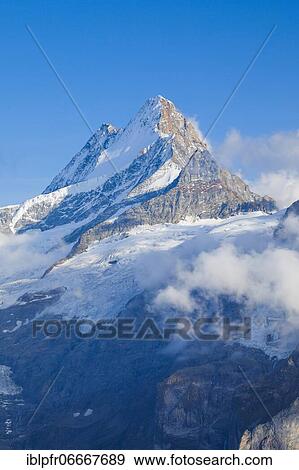 Stock Photo - Schreckhorn, 4078 m, Bern, Switzerland, Europe. Fotosearch