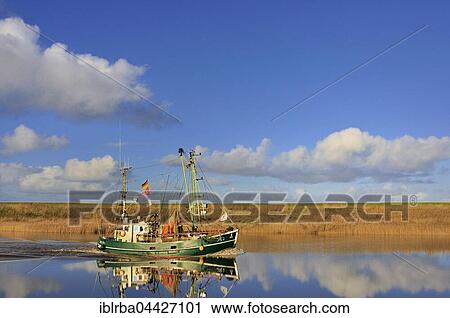 Shrimp boat reflected in water, Greetsiel, Lower Saxony, Germany, Europe View Large Photo Image Stock Image - Shrimp boat reflected in water, Greetsiel, Lower Saxony, Germany, Europe. Fotosearch