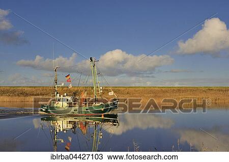 Shrimp boat reflected in water, Greetsiel, Lower Saxony, Germany, Europe View Large Photo Image Stock Image - Shrimp boat reflected in water, Greetsiel, Lower Saxony, Germany, Europe. Fotosearch