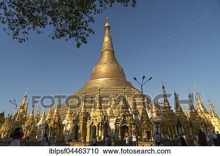 Shwedagon Zedi Daw, Shwedagon Pagoda, Yangon, Myanmar, Asia View Large Photo Image Stock Image - Shwedagon Zedi Daw, Shwedagon Pagoda, Yangon, Myanmar, Asia. Fotosearch
