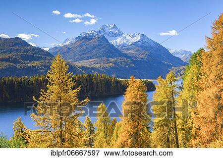 Stock Photo - Silsersee, Piz da la Margna, 3158 m, Upper Engadine, Grisons, Switzerland, Europe. Fotosearch