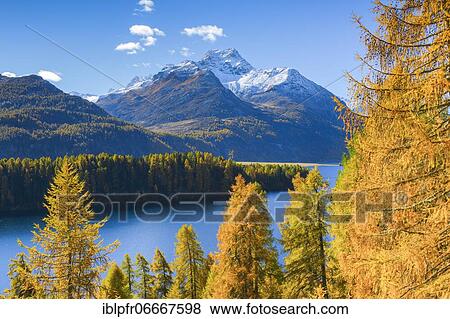 Silsersee, Piz da la Margna, 3158 m, Upper Engadine, Grisons, Switzerland, Europe View Large Photo Image Stock Photo - Silsersee, Piz da la Margna, 3158 m, Upper Engadine, Grisons, Switzerland, Europe. Fotosearch