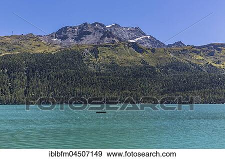 Silvaplana lake, Piz Corvatsch, 3, 451 meters, County Upper Engadine, Engadine, Maloja region, Canton of Grisons, Switzerland, Europe View Large Photo Image Stock Photo - Silvaplana lake, Piz Corvatsch, 3, 451 meters, County Upper Engadine, Engadine, Maloja region, Canton of Grisons, Switzerland, Europe. Fotosearch