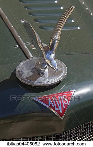 Stock Image - Silver Eagle hood ornament, ALVIS mascot and logo, British classic car, Schloss Dyck Classic Days 2016 Jüchen, Niederrhein, North Rhine-Westphalia, Germany, Europe. Fotosearch