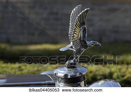 Silver Eagle hood ornament, ALVIS mascot, British classic car, Schloss Dyck Classic Days 2016 Jüchen, Niederrhein, North Rhine-Westphalia, Germany, Europe View Large Photo Image Stock Image - Silver Eagle hood ornament, ALVIS mascot, British classic car, Schloss Dyck Classic Days 2016 Jüchen, Niederrhein, North Rhine-Westphalia, Germany, Europe. Fotosearch