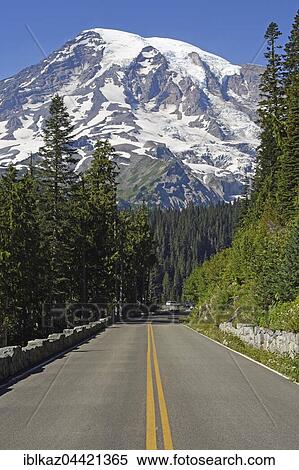 Stock Photography - Snow-capped summit of Mount Rainier and road, Mount Rainier National Park, Cascade Range, Washington, Pacific Northwest, USA, North America. Fotosearch