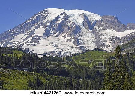 Stock Image - Snow-capped summit of Mount Rainier, Mount Rainier National Park, Cascade Range, Washington, Pacific Northwest, USA, North America. Fotosearch