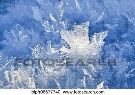 Stock Image - Snow detail, Switzerland, Europe. Fotosearch