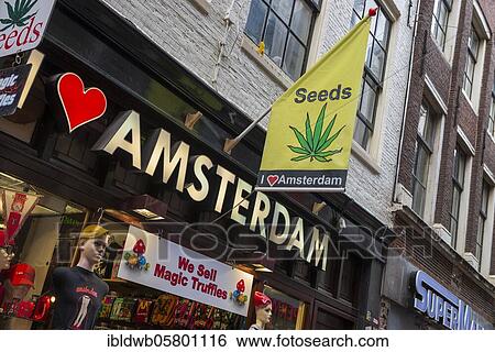 Souvenir shop, with marijuana seeds, Seeds, Amsterdam, Province of North Holland, Netherlands View Large Photo Image Stock Photograph - Souvenir shop, with marijuana seeds, Seeds, Amsterdam, Province of North Holland, Netherlands. Fotosearch