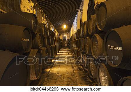 Stacked oak barrels in the wine cellar, winery Bodega Fundador Pedro Domecq, Jerez de la Frontera, Cadiz province, Andalusia, Spain, Europe View Large Photo Image Stock Image - Stacked oak barrels in the wine cellar, winery Bodega Fundador Pedro Domecq, Jerez de la Frontera, Cadiz province, Andalusia, Spain, Europe. Fotosearch