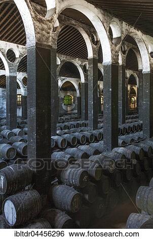 Stacked oak barrels in the wine cellar La Catedral, winery Bodega Barbadillo, Sanlucar de Barrameda, Cadiz province, Andalusia, Spain, Europe View Large Photo Image Stock Photograph - Stacked oak barrels in the wine cellar La Catedral, winery Bodega Barbadillo, Sanlucar de Barrameda, Cadiz province, Andalusia, Spain, Europe. Fotosearch