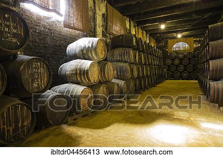 Stacked oak barrels in wine cellar, winery Bodega Gonzalez Byass, Jerez de la Frontera, Cadiz province, Andalusia, Spain, Europe View Large Photo Image Stock Image - Stacked oak barrels in wine cellar, winery Bodega Gonzalez Byass, Jerez de la Frontera, Cadiz province, Andalusia, Spain, Europe. Fotosearch