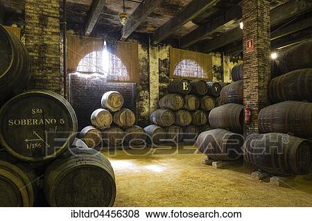 Stacked oak barrels in wine cellar, winery Bodega Gonzalez Byass, Jerez de la Frontera, Cadiz province, Andalusia, Spain, Europe View Large Photo Image Stock Photo - Stacked oak barrels in wine cellar, winery Bodega Gonzalez Byass, Jerez de la Frontera, Cadiz province, Andalusia, Spain, Europe. Fotosearch