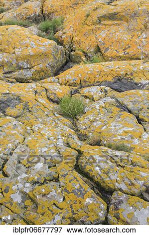Staple Island, Great Britain View Large Photo Image Stock Photo - Staple Island, Great Britain. Fotosearch