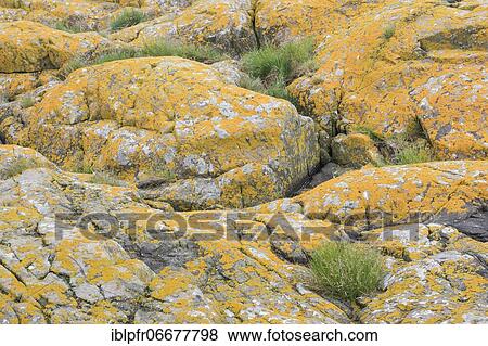 Staple Island, Great Britain View Large Photo Image Stock Photo - Staple Island, Great Britain. Fotosearch