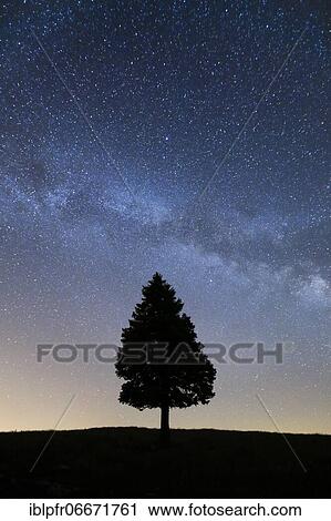 Starry sky with milky way, Switzerland, Europe View Large Photo Image Stock Image - Starry sky with milky way, Switzerland, Europe. Fotosearch