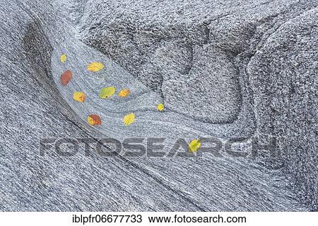 Steindetail, Ticino, Switzerland, Europe View Large Photo Image Stock Image - Steindetail, Ticino, Switzerland, Europe. Fotosearch