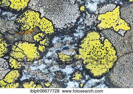 Stock Photo - Stone detail, Swiss Alps. Fotosearch